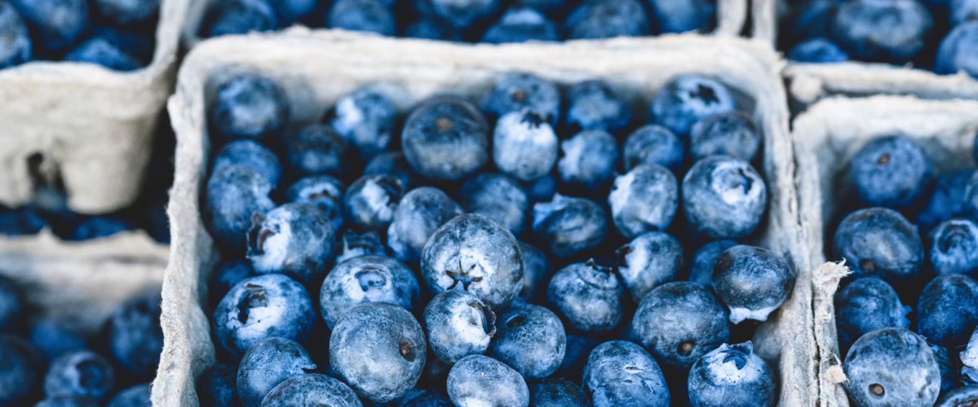 The Truth About Blueberry Supplements: Finding the Right Dosage and Understanding Bilberry Benefits