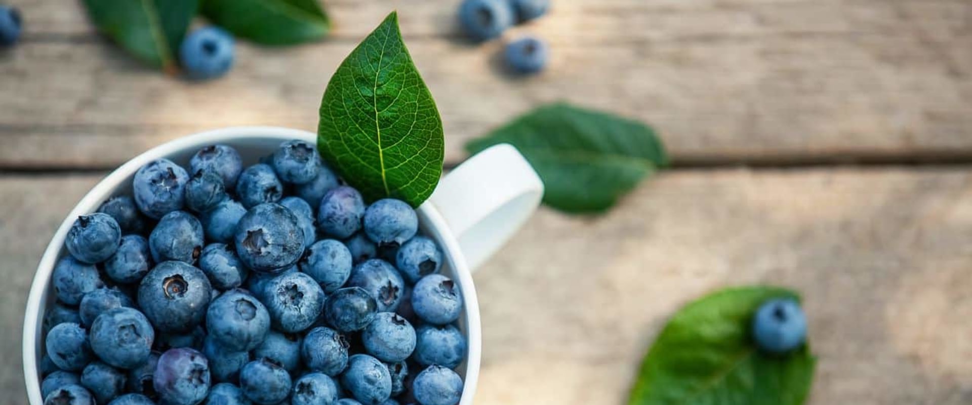 The Comprehensive Guide to Bilberry Vitamin Supplementation: Pros and Cons