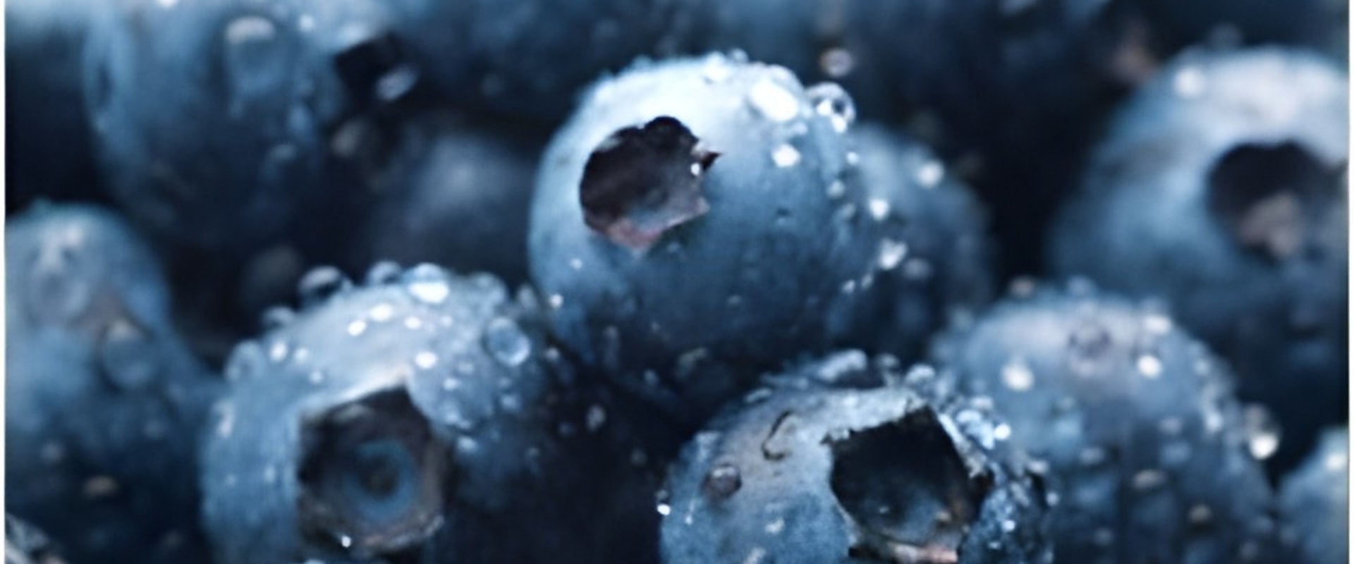 The Truth About Bilberry and Its Effects on Liver Health: An Expert's Perspective