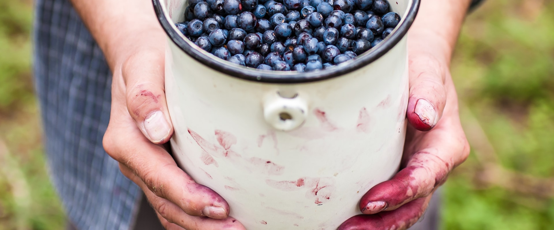 The Optimal Dosage of Bilberry for Daily Consumption: An Expert's Perspective on Bilberry Benefits