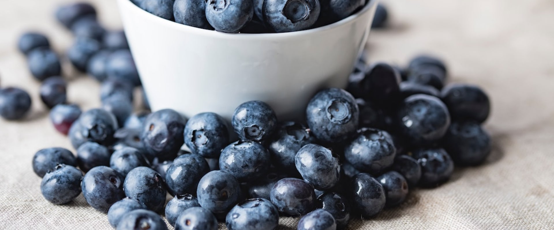The Incredible Health Benefits of Bilberry: A Comprehensive Guide